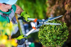 Découvrez nos jardiniers !